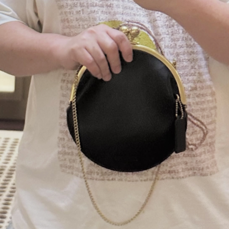 Kisslock Pouch 20cm Clutch Cli – Luxury Bags Consignment recenzja i cena