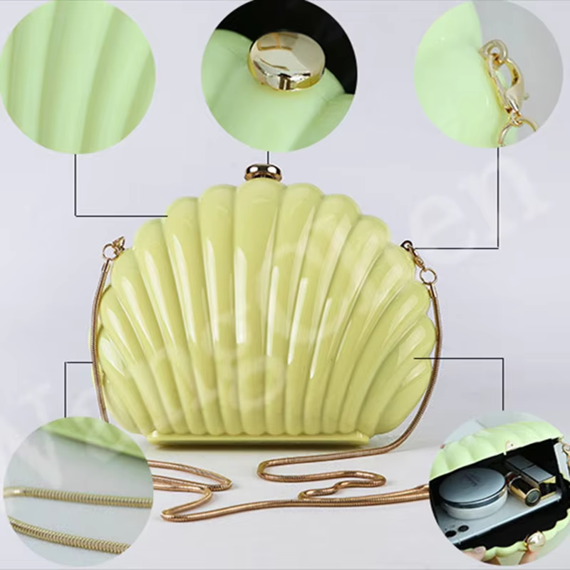 Lady Mini Shell Bag Acrylic Hi – Luxury Bags Consignment recenzja i cena