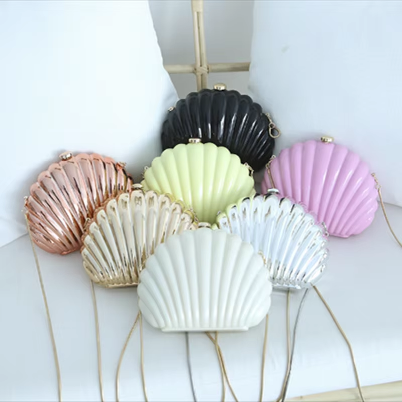 Lady Mini Shell Bag Acrylic Hi – Luxury Bags Consignment recenzja i cena