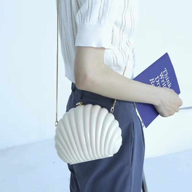 Lady Mini Shell Bag Acrylic Hi – Luxury Bags Consignment recenzja i cena